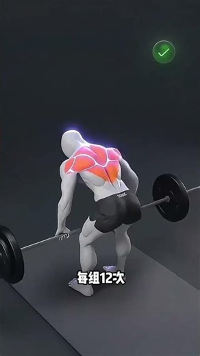 完美背部训练秘籍：必练序列