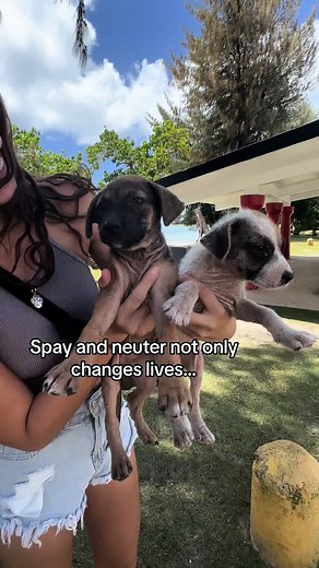 BoonieBabies on TikTok