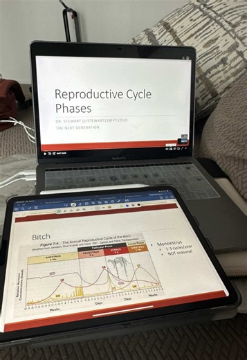 I am sure most of you love cute baby animals, I know I do!🐶🐮🐴🐣 But do you know all of the work that goes on behind the scenes to ensure healthy future generations? Since starting our new course “ Next Generation 🧬🍼” I have realized that you truly do not know about “ the Birds & the Bees” until you have taken a Theriogenology course! As I prepare for my first exam this Monday I am shocked and a bit overwhelmed by how diffrent the embryology, reproductive anatomy, breeding management, and es