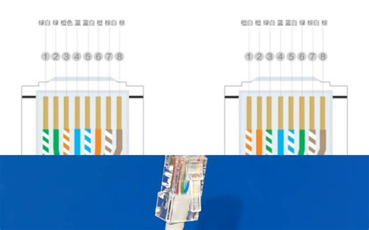 打水晶头不在死记硬背网线顺序，巧记568B接线顺序！这个就叫思路～ #沈阳穿线大神 #水晶头压接 #网线接法