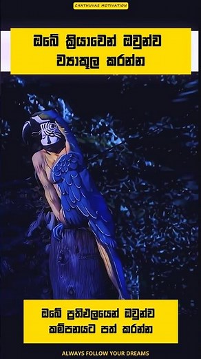 ඔබේ ක්‍රියාවෙන් ඔවුන්ව ව්‍යාකූල කරන්න 😯💪#sinhalamotivation #motivation #sinhala #shorts #study'