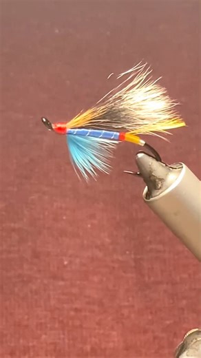 Fly Tying Angler | Blue Doctor Tag: Oval silver tinsel Tip: Yellow floss Tail: Golden pheasant crest Butt: Red wool Body: Doctor blue floss Rib: Oval silver... | Instagram