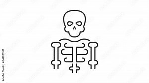 Skeleton animated icon. Medical education line animation. Human body. Skeletal system. Anatomy lesson. Black illustration on white background. HD video with alpha channel. Motion graphic