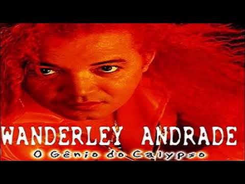 Wanderley Andrade - Conquista