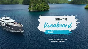 Say YES to new diving adventures. | Explorer Ventures