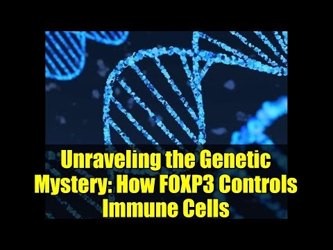 Unraveling the Genetic Mystery: How FOXP3 Controls Immune Cells