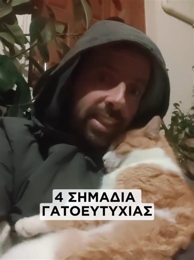 Πάμε να δούμε 4 σημάδια ότι η γάτα είναι ευτυχισμένη, ενώ κατσιαζουμε τον.. ΤΣΙΔΑΑΑ!!! #tsitsosthecat #γατες #γατακια #τικτοκ_ελλαδα #ελληνικοτικτοκ