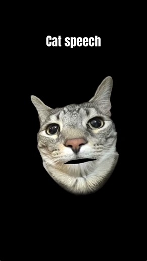 Cat speech #needtosee