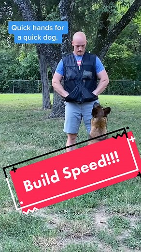 Shaping Behavior: How to Lure Your Dog for Training Success