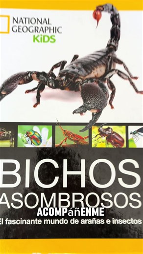Enseñar a los niños a respetar toda forma de vida es enseñarles a cuidar nuestro planeta. 🐜🦋🐝 Los artrópodos, aunque pequeños, cumplen funciones esenciales en los ecosistemas: polinizan, descomponen materia, regular poblaciones de otros insectos/arácnidos. Aprender a observarlos sin dañarlos es también aprender que cada ser vivo tiene un lugar y una función en los ecosistemas incluso en zonas urbanas, ya que muchas han logrado adaptarse bien, por lo cada vez es más común verlos. #enseñar #edu