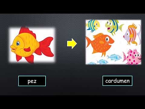 EL SUSTANTIVO INDIVIDUAL Y COLECTIVO