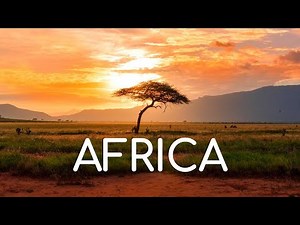 ✅ African Background Music | Tribal Free Music