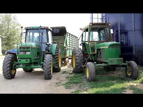 Chopping Corn Silage for Feed