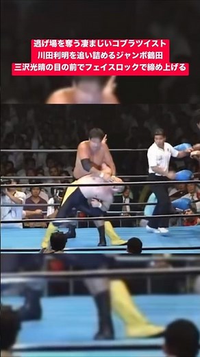 A Brutal Cobra Twist That Leaves No Escape: Jumbo Tsuruta Corners Toshiaki Kawada, Locking Him in...