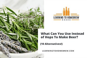 What Can You Use Instead of Hops To Make Beer? (10 Alternatives!)