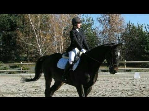 Young Girl’s Peaceful Morning on the Farm 🌿🐎 | Nature Walk, Cooking & River ASMR