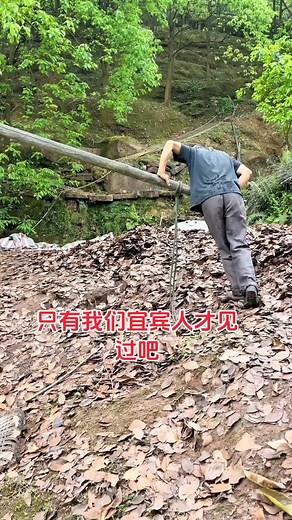 Camphor Oil Magic： Ancient Craft Alive #Tags | Kim Yoo Jung