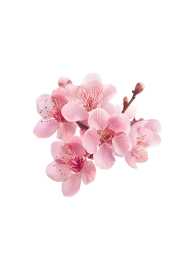 Like, they just went radio silent on us... #viral #rant #classof09 #classof09theanime #whathappened class of 09 leaks class of 09 the anime what happened to class of 09 the anime Emily class of 09 edit jecka class of 09 Nicole class of 09 go viral queen