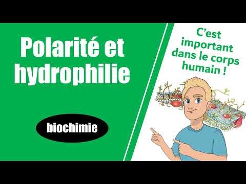 POLARITY and HYDROPHILY: essential for higher education -- Biochemistry -- PASS & Sup