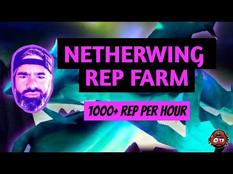 WRATH CLASSIC NETHERWING REP FARM - GO INTO WOTLK IN STYLE!