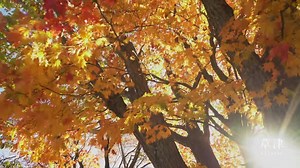 4.4K views · 72 reactions | "Kusatsu Onsen", located in the Gunma...