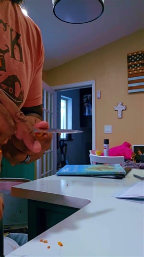 virtual learning day problems #school #kids #snowday