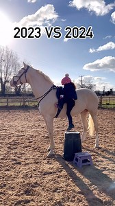 307K views · 45K reactions | 2023 to 2024, Watching them grow is something so beautiful to us  #equestrian #horse #showjumping #horseriding #horselover #stallion | Jumping with Ivy | Facebook