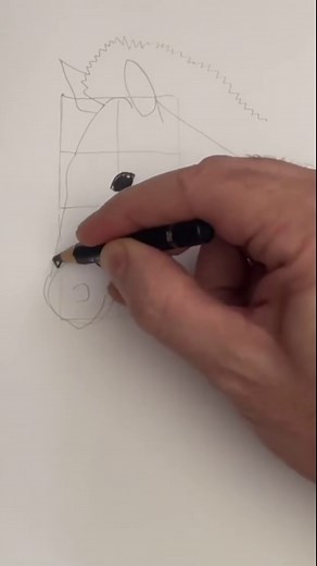 Mark Liam Smith on Instagram: "Draw a realistic zebra 🦓 Easy drawing lesson for beginners on how to draw a zebra #drawinglesson"
