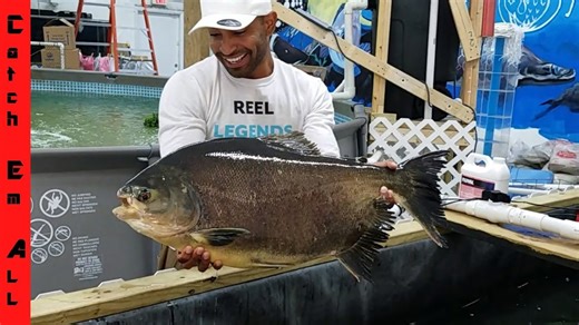 World’s BIGGEST Piranha Moves Into a New Indoor Tank!