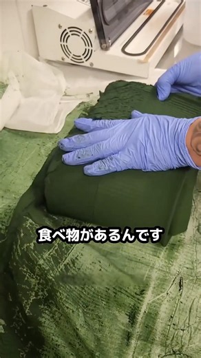 地球最強のタンパク質の正体