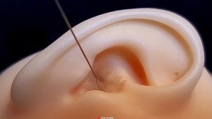 【助眠向】深层次大脑刺激。SAM  sound正版授权