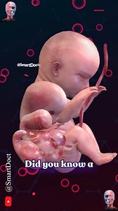 Las 4 etapas del desarrollo infantil. . . . . #fblifestyle #desarrolloinfantil #educación #crecimiento #niños #psicología #bienestar #ciencia #etapasdelavida #familia #aprendizaje #saludcardiovascular #corazón #embarazo #sistemacardiovascular #biología #nutriciónfetal #salud #ciencia #bienestar #maternidad | Smart Doctor en Español