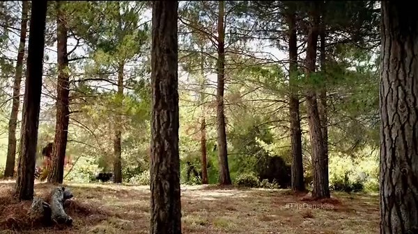 Sears Black Friday Sale TV Spot, 'Turkey Chase'