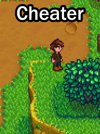 How Different Players Traverse Stardew Valley... #⁠stardewvalley #stardewtok #stardew