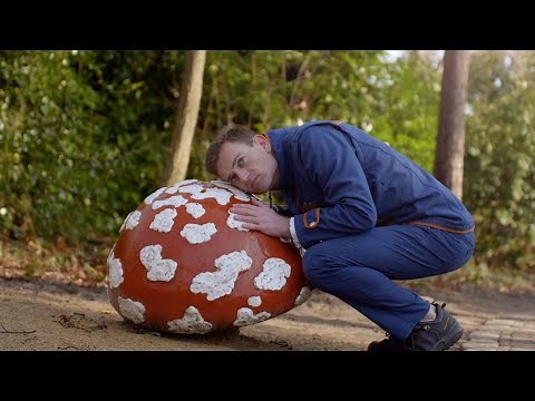 What’s it like in a closed themepark? 🍄 A unique moment at the Efteling! ✨