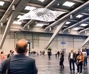 A Flying Manta Ray Drone