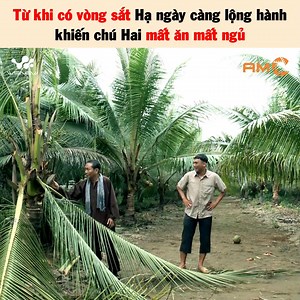 497K views · 12K reactions | Rơi vào tay Hạ là chỉ có tai họa ----- Nguồn: AMC Media Nội dung trong phim không có thật chỉ mang tính giải trí và được trích từ bộ phim 'Xuân Hạ Thu Đông' Bản quyền được quản lý và bảo vệ bởi WeNew. #WeNew #AMCMedia #XuanHaThuDong #NWT #AMC | WeNew Network | Facebook