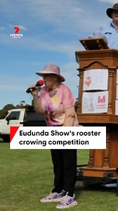68K views · 336 reactions | There have been some egg-cellent entries into the first-ever rooster crowing competition at South Australia’s Eudunda Show. The winner strutted away with $400 and a real reason to crow as the grand champion. #Rooster #Eudunda #7NEWS | 7NEWS Adelaide | Facebook