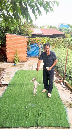 56K views · 2.4K reactions | Danh Hùng on Reels | Facebook