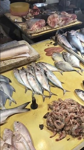 Amazing Fish Market 🐟 | Different Types of Fish in One Shop | Fish Lover Shorts