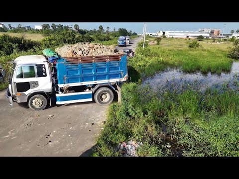 Perfectly Started New Project!DumpTruck Filling Soil Delete Feild,Fast Action Dozer D31 Pushing Soil