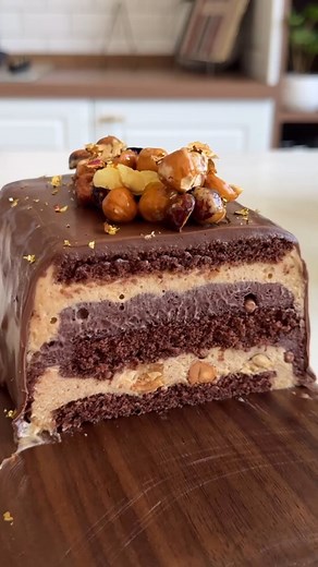 Recette gateau glacé noisettes-chocolat facile à faire et préparé en 10 minutes by Sisina 🤗❤️ 🔹 Recette Ganache chocolat : 200g chocolat (pâte à glacer ) 100ml de lait 20g beurre 🔹 Recette biscuits chocolat : 2 oeufs 50g de sucre 10g de sucre vanille 65g farine 7g cacao 7g levure pâtissière 30g lait | Dr. Oetker Vanoise