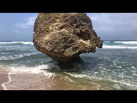 Virtual Tour of Bathsheba Beach, Barbados + World Famous Rock Formations Close Up