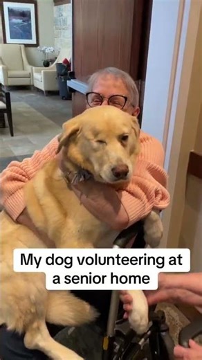 You Won’t Forget This Story… The Old Man and His Dog