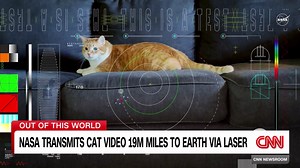 NASA uses laser to stream cat video from deep space