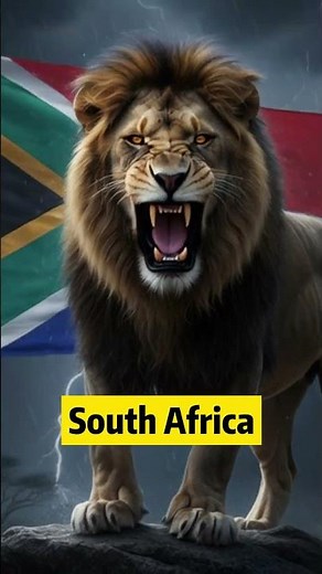 Lions From 5 Different Countries! 🌍🦁 #lion #wildlife