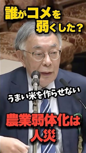 誰がコメを弱くした？「農業弱体化は人災」公聴会で出た厳しい指摘