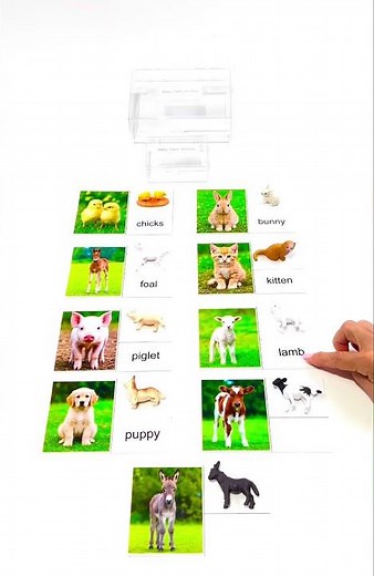 Montessori Baby Farm Animals with Cards | Matching Activity | E&O Montessori