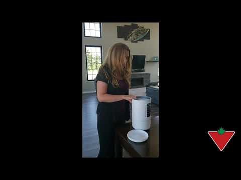 My product review: NOMA Cool Humidifier