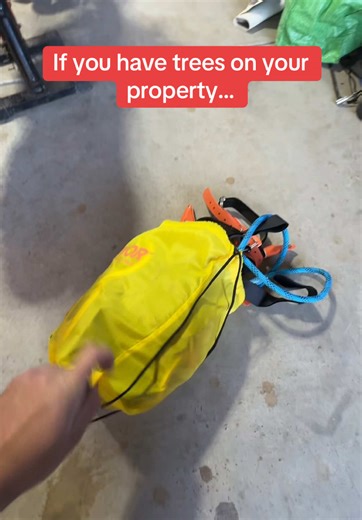 Essential Tree Trimming Equipment for Your Property